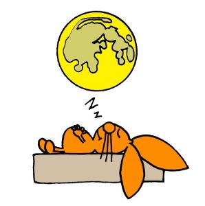 天体観望会「夏の星空と月を見よう！」