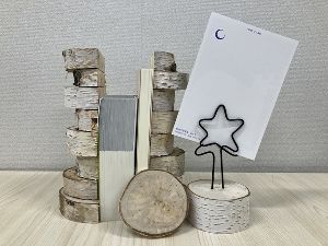 白樺であそぼう！