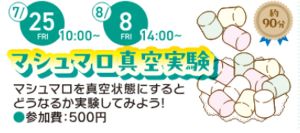 夏休み自由研究「マシュマロ真空実験」