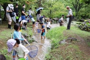 水辺の生き物観察会