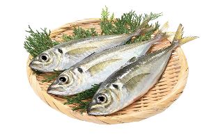 萩の瀬つきあじ祭り