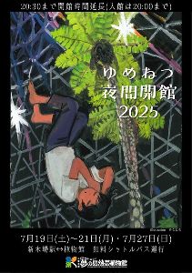 夢の島熱帯植物館 夜間開館2025