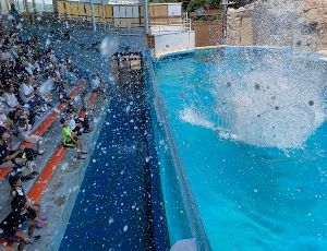 今年もスプラッシュショーで夏満喫！！