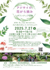 大宮第二公園　アジサイの花がら摘み