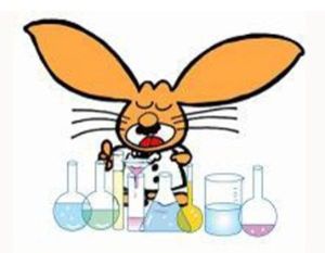 サイエンスショー「おもしろ実験アラカルト」