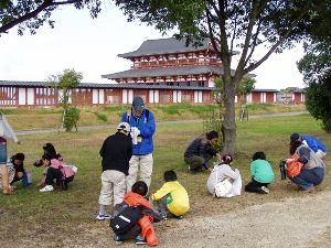 「平城宮跡探検隊」どんぐりひろい