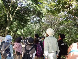 第7回 自然観察講座「植物なぜなぜ入門」秋編 ～たねのふしぎ発見～