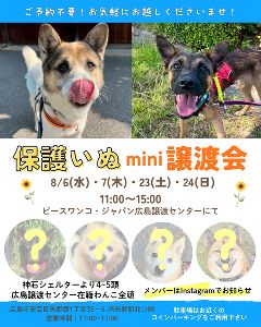 保護いぬmini譲渡会