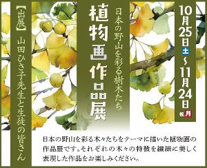植物画作品展 －日本の野山を彩る樹木たち－