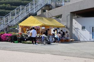 淡路島国営明石海峡公園　ガーデンマルシェ