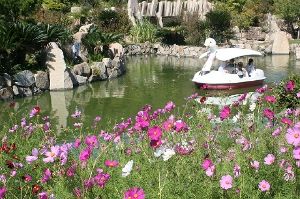 淡路島国営明石海峡公園　秋のボート感謝デー