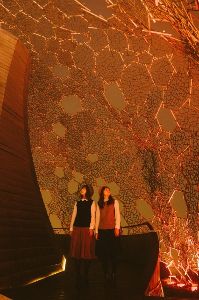 Lightscape in Rokkoしょくぶつのあかり ~紅葉~
