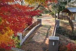 【紅葉・見ごろ】あやめ公園