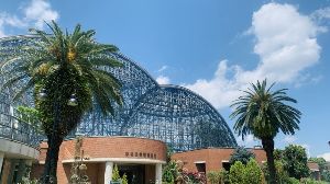 植物画コンクール展