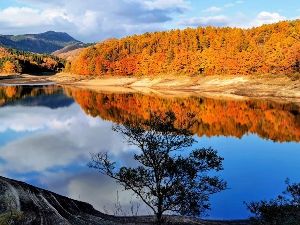 【紅葉・見ごろ】恩原高原