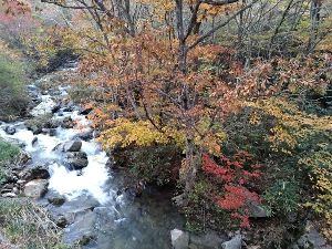 【紅葉・見ごろ】赤和瀬渓谷