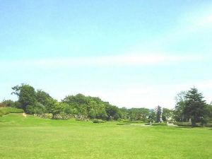【紅葉・見ごろ】詩歌の森公園