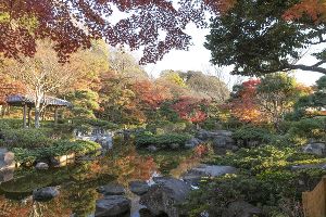 【紅葉・見ごろ】大磯城山公園
