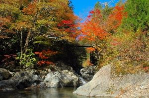 【紅葉・見ごろ】殿川内渓谷