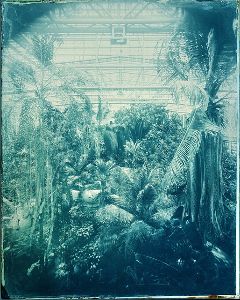 ボタニカルガーデンズ～今坂庸二朗写真展～