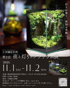 小柳 綱紀 第2回「夜と灯りとテラリウム展」