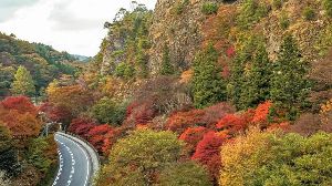 【紅葉・見ごろ】古岩屋