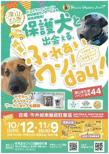 保護犬と出会える 城東のふれあいワン!day!(11月)