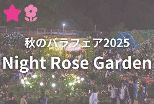Night Rose Garden