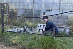 ギボレムまつり　Waoランド特別エリアに招待！