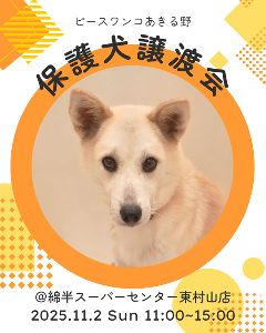保護犬譲渡会@綿半東村山店