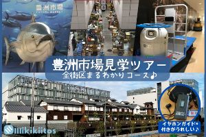 豊洲市場見学ツアー 全街区まるわかりコース（11月）