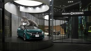 日産オーラ「実物大3メートルの猫」