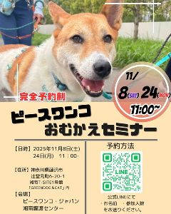 保護犬お迎えセミナー