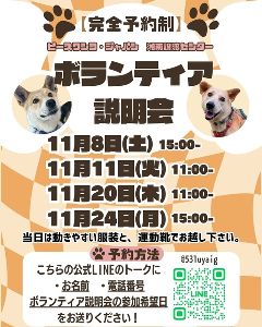 保護犬ボランティア説明会
