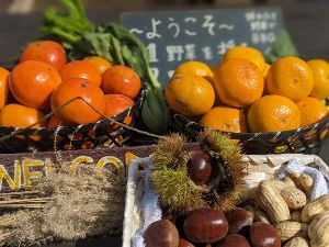 あなたはみかん派 柿派