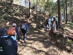 秦野市山岳協会と行く秋の紅葉登山~イオリ峠から高取山、そして聖峰を経て鶴巻温泉へ