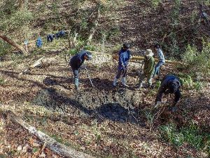 飯能にくらすサンショウウオの生態を学ぼう！～産卵地の保全作業編～