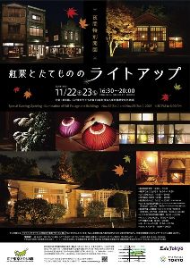 夜間特別開園　紅葉とたてもののライトアップ
