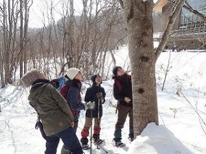 スノーシューで冬の自然博物園を歩こう！