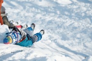 冒険遊び場きのたんの森