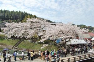 陶郷中尾山 桜陶祭