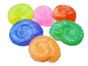 淡路島国営明石海峡公園　アンモナイトのクイズと化石のレプリカ作り