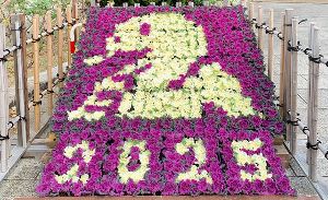 干支飾りの展示