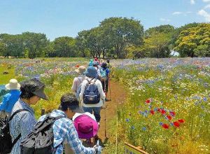 国営昭和記念公園 PF ノルディックウォーキング（12月）