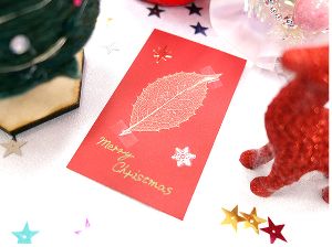 科学実験工房ワークショップ　柊のスケルトンリーフ