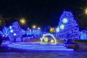 アメリカ山公園 ROOFTOP ILLUMINATION ～ハチが光をもたらす～
