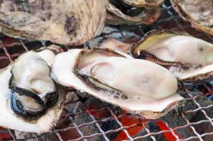 かき小屋 in ベイサイド2025-2026