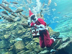 うみがたりのクリスマス2025