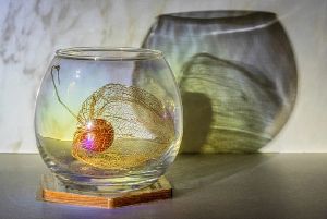 プロの様にお洒落に撮ろう！スマホカメラ撮影体験