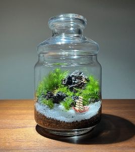 古都奈良平城宮跡で苔テラリウムをつくろう！